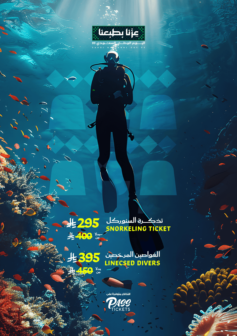 مغامرة السنوركل اليومية